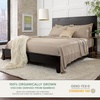 image:imageQueen Pillowcases by Pure Bamboo Genuine 100 Organic Viscose Derived from Bamboo Luxuriously Soft amp Cooling Double Stitching Envelope Closure 2 Queen Pillowcases StripesSand