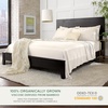 image:imageQueen Pillowcases by Pure Bamboo Genuine 100 Organic Viscose Derived from Bamboo Luxuriously Soft amp Cooling Double Stitching Envelope Closure 2 Queen Pillowcases StripesIvory